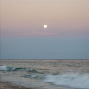 Meet your Posher, Carter